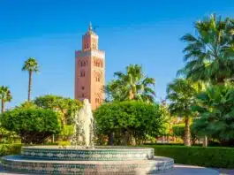 Les jardins de Marrakech une exploration des jardins de la ville