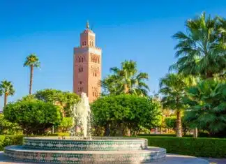 Les jardins de Marrakech une exploration des jardins de la ville