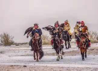 Pourquoi choisir de faire un voyage en Mongolie ?