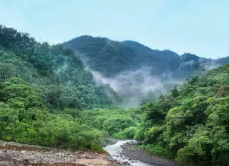 Costa Rica : découvrez un séjour sur mesure adapté à toutes vos envies