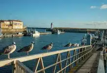 Découvrez le charme de l'île d'Oléron !