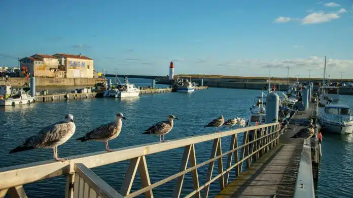 Découvrez le charme de l'île d'Oléron !