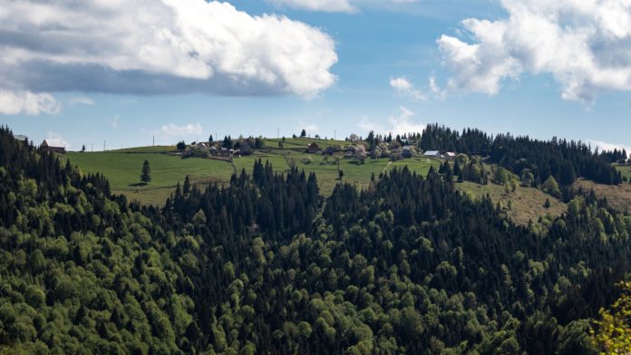 Explorez la nature des monts du lyonnais lors d'un week-end !