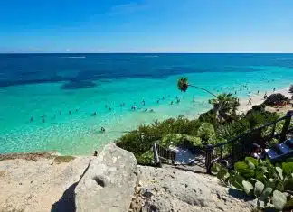 green palm trees on white sand beach during daytime